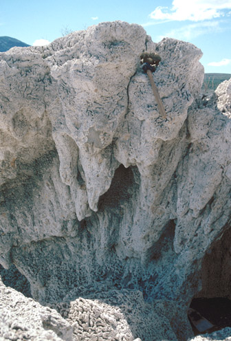 Calcium-carbonate cemented thinolite crystals