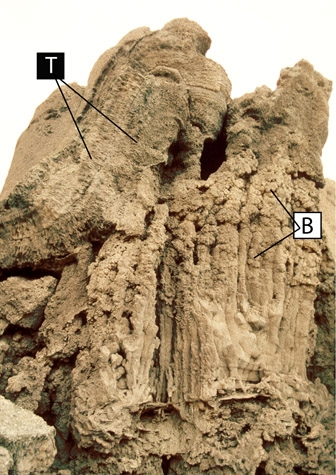 Broken tufa barrel