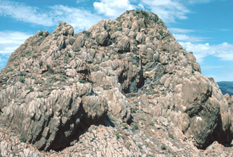 Reef-like tufa sheets